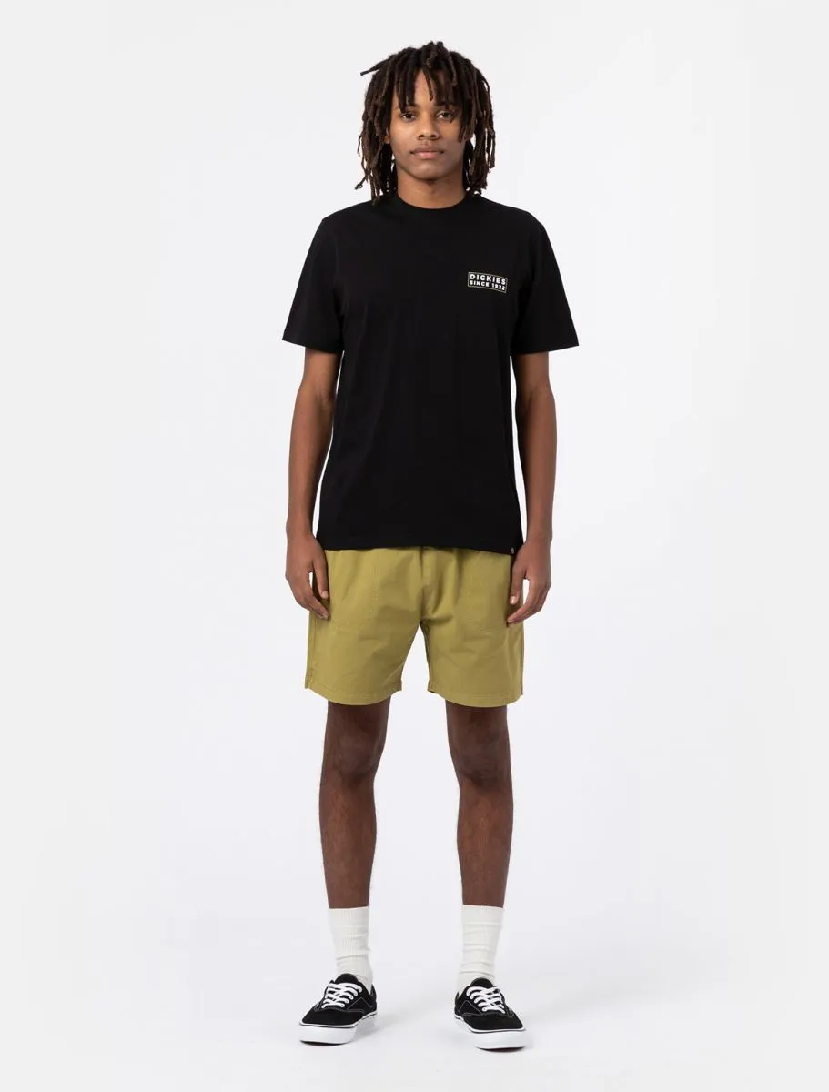 Pantalón corto DICKIES Short cómodo hombre Pelican Rapids Green Moss Ref. DK0A4XB2C32 verde
